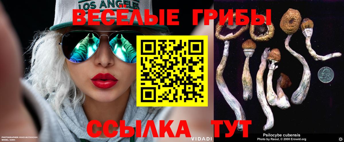 Галлюциногенные грибы Magic Shrooms Североморск